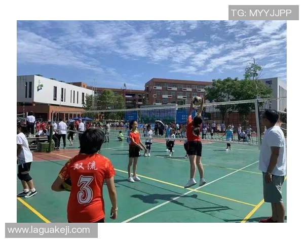 成都排球队比赛经验分享聚焦排球运动的成长与挑战 成都排球队比赛经验分享聚焦排球运动的成长与挑战