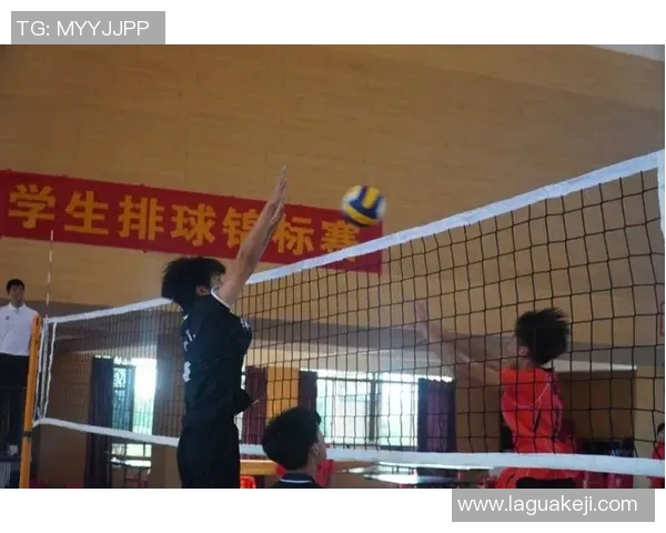 武汉排球队在全国排球节奏排行榜中荣获第八名的佳绩引发热议